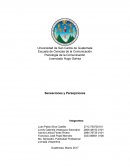 Sensaciones y percepciones.