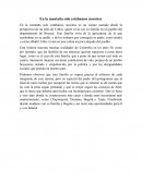 Ensayo*- En la montaña solo estabamos nosotros