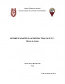 Informe de avance en una empresa