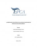 LA IMPORTANCIA DEL MÉTODO DE VALUACIÓN DE INVENTARIOS EN ÉPOCAS DE INFLACIÓN EN MEXICO