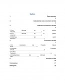 Economia de la india