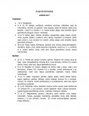 Ensayo PLAN DE ESTUDIOS