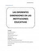 DIMENSIONES EDUCATIVAS Práctica Docente