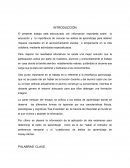 EL GRAN ENSAYO ESTILOS DE APRENDIZAJE.