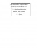 Ya hablamos del problema y de las consecuencias pero que nivel o como debe ser un maestro apropiado, uno que sea bueno para nosotros los estudiantes.