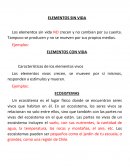 Ecosistema 4°basico