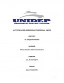 Portafolio CUATRIMESTRE