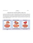 Comparación entre el musculo esquelético, cardiaco y liso.