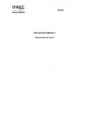 Extensiones de marca