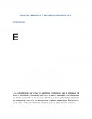 IMPACTO AMBIENTAL Y DESARROLLO SUSTENTABLE.