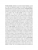 Nueve Principios de kant