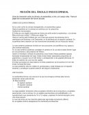 Region del angulo iridocorneal