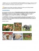 Ovíparos: la cría se forma y desarrolla en el interior de un huevo, que ha sido previamente fertilizado por el macho de la especie y puesto por la hembra