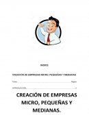 ORGANISMOS DE PROMOCION, APOYO, FORMENYO Y GESTION D ELA EMPRESA MICRO, PEQUEÑA Y MEDIANA