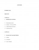 ANALISIS DEL MACROENTORNO Políticas Económicas