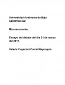 Ensayo del debate del día 31 de marzo del 2017