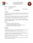 Los elastómeros son un tipo de material denominados polímeros amorfos debido a que sus moléculas tienen un entrecruzamiento espaciado. Esta importante característica les da la propiedad de la elasticidad.