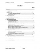 Reporte tabasco viaje tecnologico tapachula