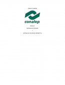 SISTEMAS DE ESPIONAJE Y SISTEMAS DE SEGURIDAD CIBERNETICA.“BULLRUN” y “EDGEHILL”