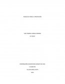 NEGOCIOS VERDES E INNOVACIÓN