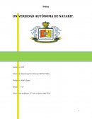 Ensayo DHP II Parte