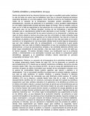 Cambio climático y consumismo. (Ensayo)