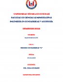 INGENIERÍA EN CONTABILIDAD Y AUDITORÍA DESARROLLO LOCAL