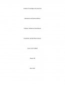 Procesos de separación de sustancias