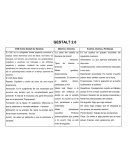 Guía del ciclo de salama