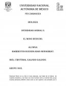 El mono desnudo de Desmond Morris