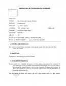 Peso Unitario del Cemento Pórtland