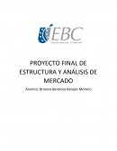 PROYECTO FINAL DE ESTRUCTURA Y ANÁLISIS DE MERCADO