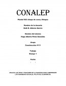 ANALIZA LOS TIPOS Y FUNCIONES DE LA SOCIEDAD PARA COMPRENDER LOS FENOMENOS SOCIALES, POLITICOS, ECONOMICOS