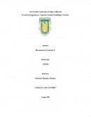 Violencia de genero. Violencia docente