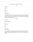 OBJETOS HECHOS CON MATERIALES RECICLABLES