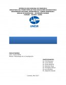 Fenomenologia presentacion