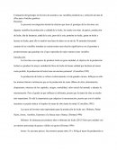 Evaluación del genotipo en bovinos de acuerdo a sus variables productivas y selección de uno de ellos para el núcleo genético