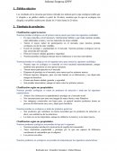 Informe Empresa GPPV