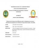 Eficiencia de la extracción de ADN total para dos sepas bacterianas de Staphylococcus aureus y Pseudomonas aeruginosa