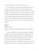 Acta de Constitución de la sociedad “Vitalmedica S.A.S.”