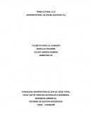 TRABAJO FINAL S.I.G AGROINDUSTRIAL DE PALMA ACEITERA S.A