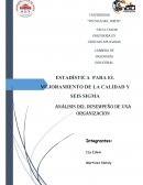 Encuesta análisis del desempeño