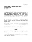 JUICIO SUCESORIO INTESTAMENTARIO.