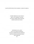 PLAN DE EXPORTACIÓN DE PAPAYA MARADOL Y MARACUYÁ AMARILLA