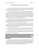 Como sanar las 8 etapas de la vida