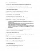 Pauta de evaluación película "Machuca"