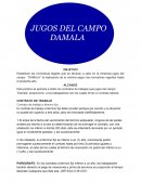 JUGOS DEL CAMPO “DAMALA” NOMINA POLITICA CONTABLE