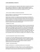 LUCHO QUEQUEZANA- PROYECTO