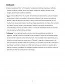 Violecia y control social