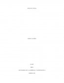 ECONOMIA DE LA EMPRESA Y GEOPOLITICA